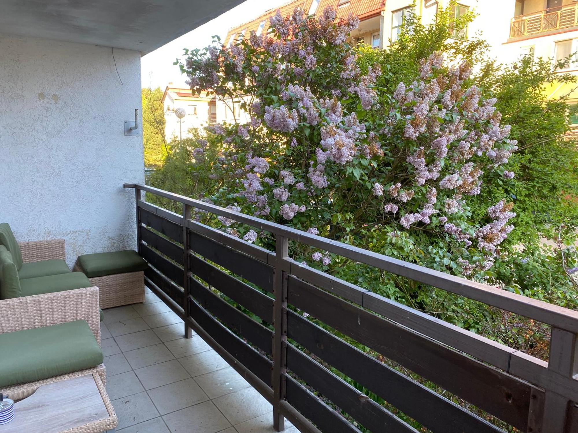 Lesne Apartamenty - Apartament Szary Hel Exterior foto
